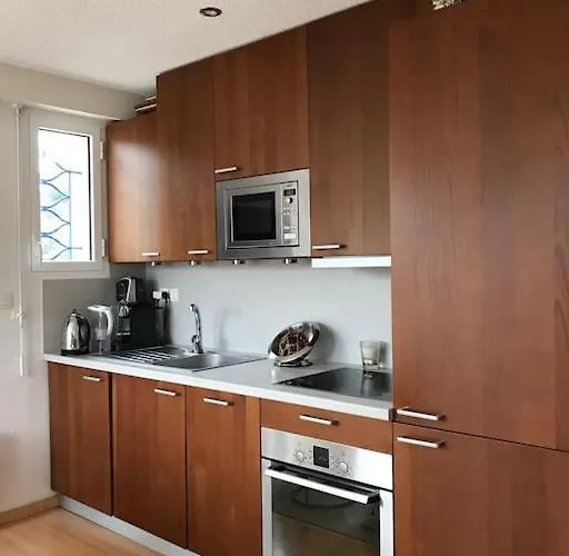 T2 Les Papillons Appartement Arcachon